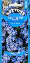 Forget-Me-Not