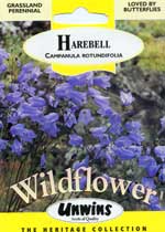 HAREBELL