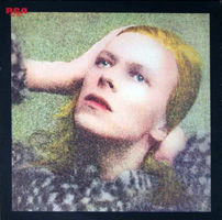 Hunky Dory